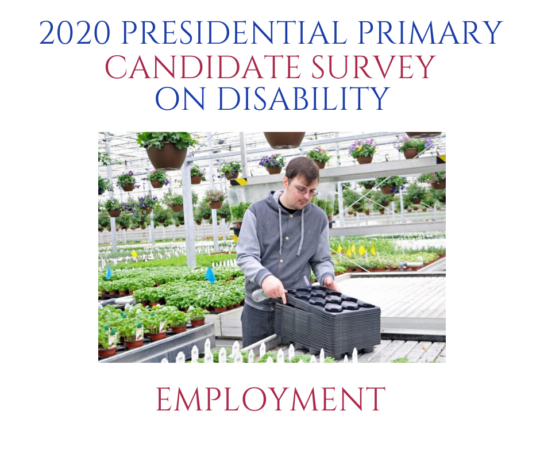 2020 Presidential Candidate Survey on Disability: Employment