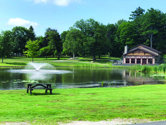 View of Friends of White Park Trust, winner of the Smile Award