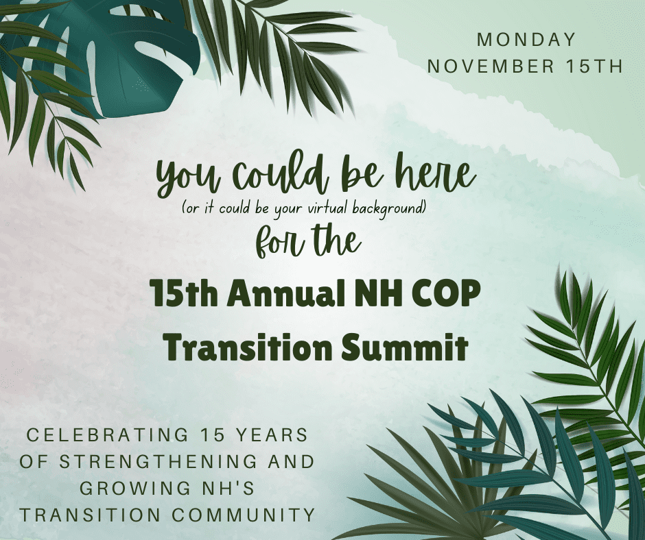 NH Community of Practice's 15th Annual NH Transition Summit DRCNH