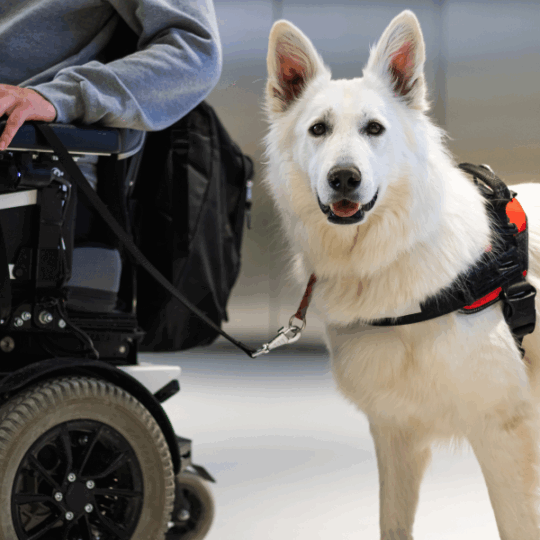 Health Care Providers’ Duty to Accommodate People with Disabilities